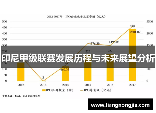 印尼甲级联赛发展历程与未来展望分析